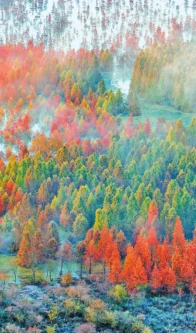 完善保障体系 厚植生态底色