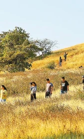 冬游元江 体验萨王纳草原风情