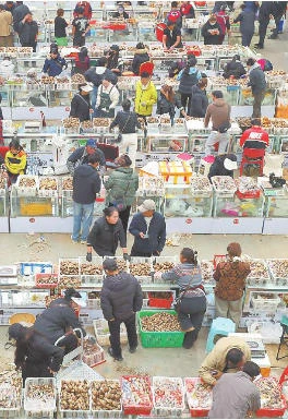 香格里拉松茸产销两旺