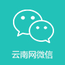 云南网微信