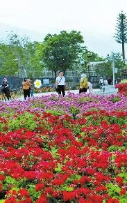 绿满廊道花满园