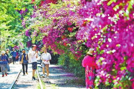 寻踪米轨花瀑