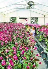 科创赋能“花经济”