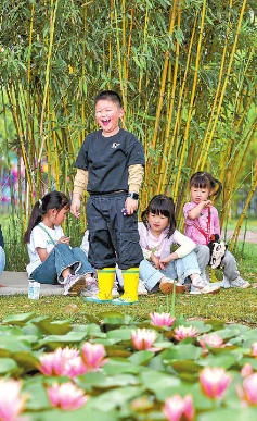 渔浦红莲映清泉