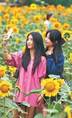 城乡焕彩 消费升温