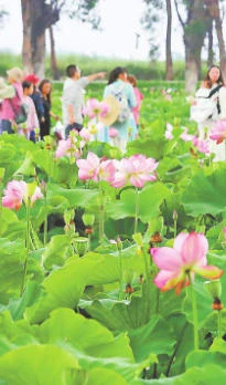 昆明福保打造滇池湖滨生态旅游休闲品牌