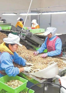 改集市 兴水利 强产业