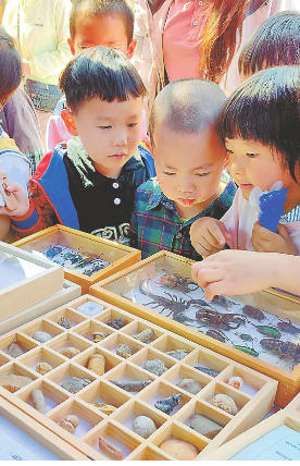 学法典　护生态