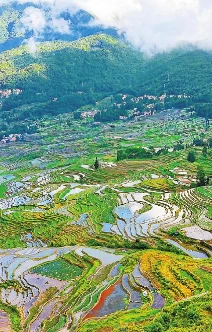 元阳哈尼梯田开启蓄水养田季